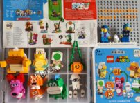 Lego 71413 Super Mario Bros series 6