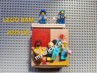 LEGO BAM Build a Minifigure – 2025 Q5